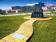 东莞天华矿业集团